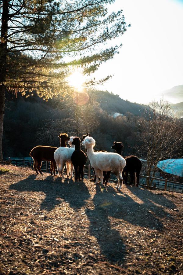 Agriturismo Scuderia Della Valle Valsecca 외부 사진